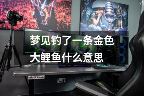 梦见钓了一条金色大鲤鱼什么意思-第1张-游戏信息-龙启网