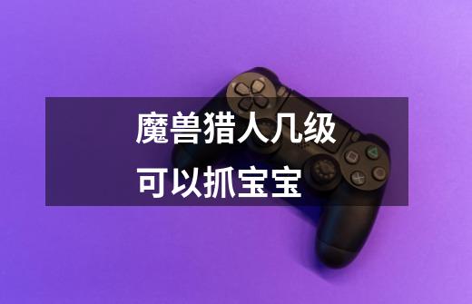 魔兽猎人几级可以抓宝宝-第1张-游戏信息-龙启网