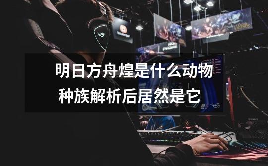 明日方舟煌是什么动物 种族解析后居然是它-第1张-游戏信息-龙启网