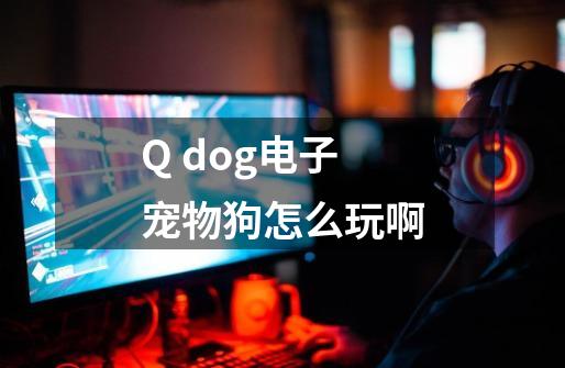 Q dog电子宠物狗怎么玩啊-第1张-游戏信息-龙启网