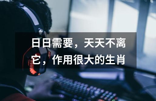 日日需要，天天不离它，作用很大的生肖-第1张-游戏信息-龙启网