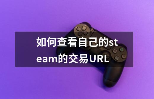 如何查看自己的steam的交易URL-第1张-游戏信息-龙启网