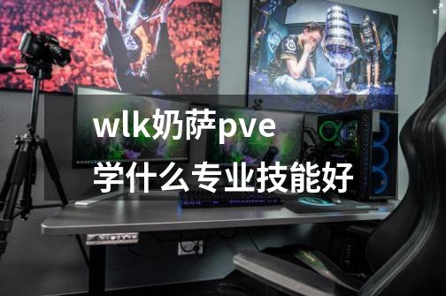 wlk奶萨pve学什么专业技能好-第1张-游戏信息-龙启网