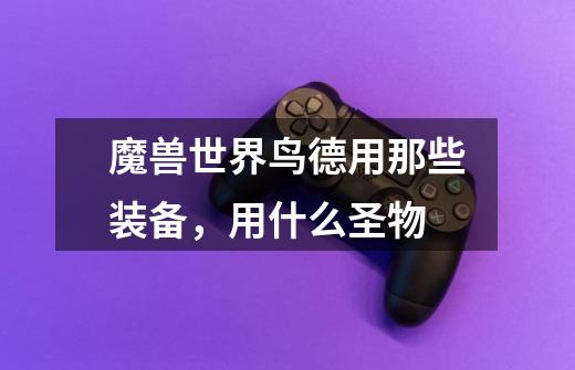 魔兽世界鸟德用那些装备,用什么圣物-第1张-游戏信息-龙启网