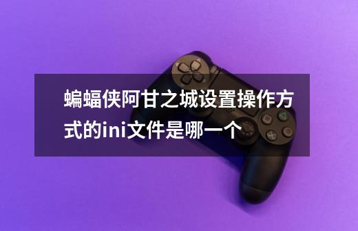 蝙蝠侠阿甘之城设置操作方式的ini文件是哪一个-第1张-游戏信息-龙启网