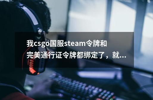 我csgo国服steam令牌和完美通行证令牌都绑定了，就荣耀认证还在申请中，在网吧玩会不会被盗号-第1张-游戏信息-龙启网