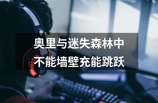 奥里与迷失森林中不能墙壁充能跳跃-第1张-游戏信息-龙启网