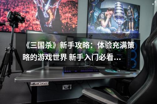 《三国杀》新手攻略:体验充满策略的游戏世界 新手入门必看指南-第1张-游戏信息-龙启网