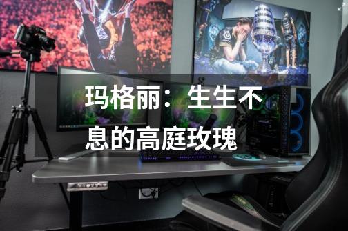 玛格丽:生生不息的高庭玫瑰-第1张-游戏信息-龙启网