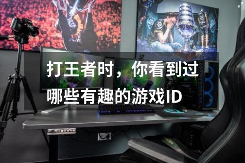 打王者时,你看到过哪些有趣的游戏ID-第1张-游戏信息-龙启网
