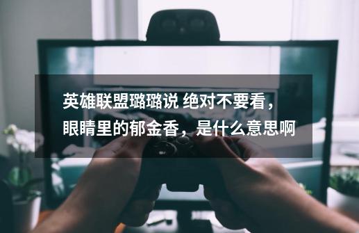 英雄联盟璐璐说 绝对不要看,眼睛里的郁金香,是什么意思啊-第1张-游戏信息-龙启网