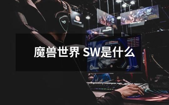 魔兽世界 SW是什么-第1张-游戏信息-龙启网