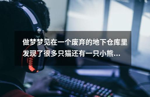 做梦梦见在一个废弃的地下仓库里发现了很多只猫还有一只小熊,于是我就把仓库门锁起来了~想要养这些动物。-第1张-游戏信息-龙启网