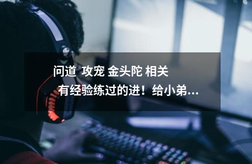 问道 攻宠 金头陀 相关 有经验练过的进!给小弟指点指点-第1张-游戏信息-龙启网