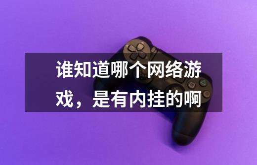 谁知道哪个网络游戏,是有内挂的啊-第1张-游戏信息-龙启网
