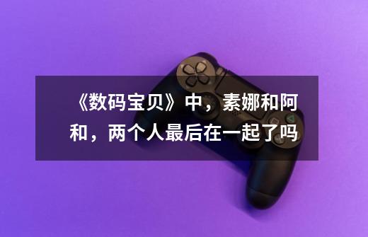 《数码宝贝》中,素娜和阿和,两个人最后在一起了吗-第1张-游戏信息-龙启网