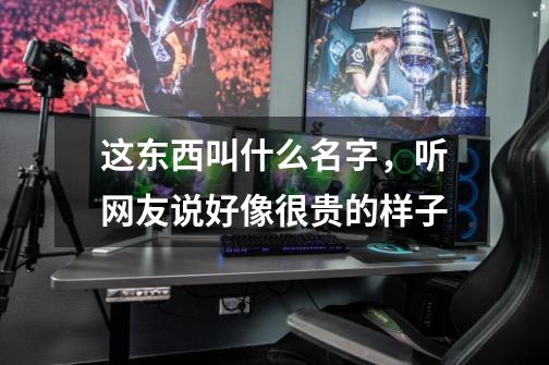 这东西叫什么名字，听网友说好像很贵的样子-第1张-游戏信息-龙启网