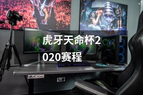 虎牙天命杯2020赛程-第1张-游戏信息-龙启网
