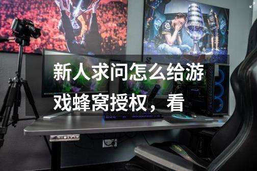 新人求问怎么给游戏蜂窝授权，看-第1张-游戏信息-龙启网