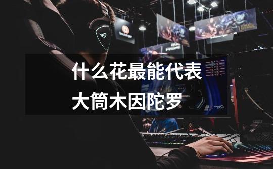 什么花最能代表大筒木因陀罗-第1张-游戏信息-龙启网