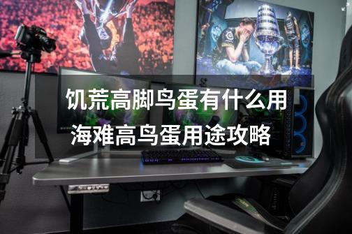 饥荒高脚鸟蛋有什么用 海难高鸟蛋用途攻略-第1张-游戏信息-龙启网