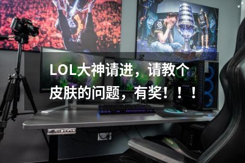 LOL大神请进，请教个皮肤的问题，有奖！！！-第1张-游戏信息-龙启网