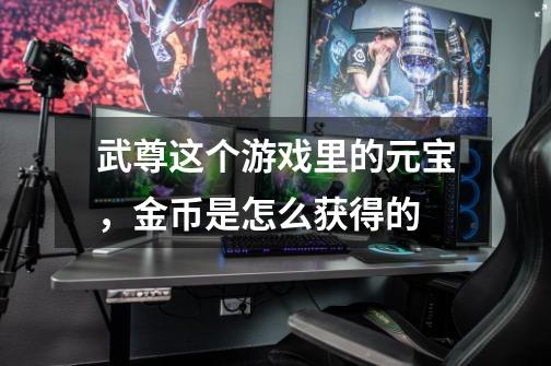 武尊这个游戏里的元宝，金币是怎么获得的-第1张-游戏信息-龙启网