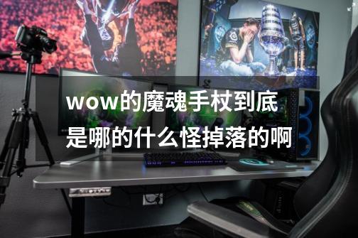 wow的魔魂手杖到底是哪的什么怪掉落的啊-第1张-游戏信息-龙启网