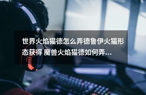 世界火焰猫德怎么弄德鲁伊火猫形态获得 魔兽火焰猫德如何弄德鲁伊火猫形态获得-第1张-游戏信息-龙启网