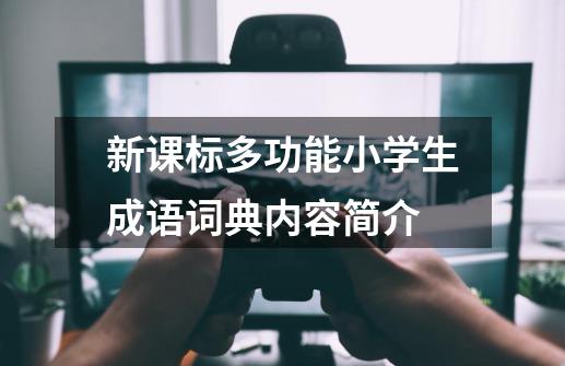 新课标多功能小学生成语词典内容简介-第1张-游戏信息-龙启网