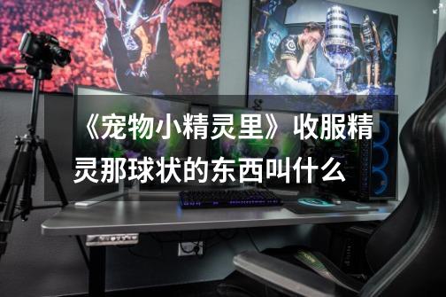 《宠物小精灵里》收服精灵那球状的东西叫什么-第1张-游戏信息-龙启网