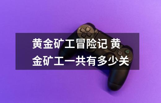 黄金矿工冒险记 黄金矿工一共有多少关-第1张-游戏信息-龙启网