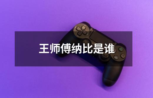 王师傅纳比是谁-第1张-游戏信息-龙启网
