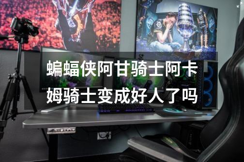 蝙蝠侠阿甘骑士阿卡姆骑士变成好人了吗-第1张-游戏信息-龙启网