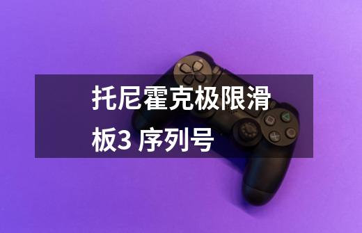 托尼霍克极限滑板3 序列号-第1张-游戏信息-龙启网