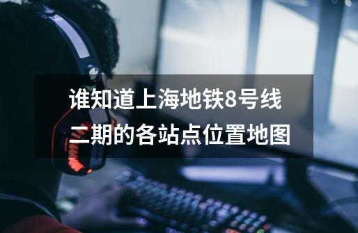 谁知道上海地铁8号线二期的各站点位置地图-第1张-游戏信息-龙启网