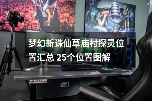 梦幻新诛仙草庙村探灵位置汇总 25个位置图解-第1张-游戏信息-龙启网
