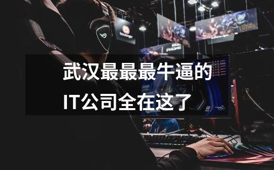 武汉最最最牛逼的IT公司全在这了-第1张-游戏信息-龙启网