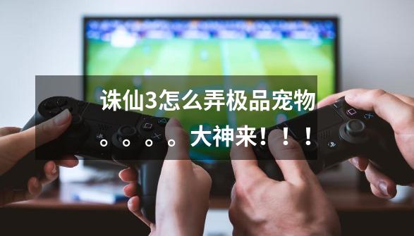 诛仙3怎么弄极品宠物。。。。大神来！！！-第1张-游戏信息-龙启网