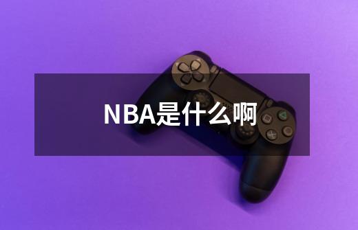 NBA是什么啊-第1张-游戏信息-龙启网