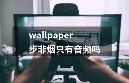 wallpaper步非烟只有音频吗-第1张-游戏信息-龙启网