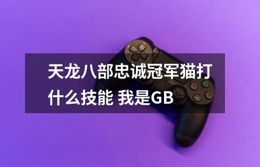 天龙八部忠诚冠军猫打什么技能 我是GB-第1张-游戏信息-龙启网