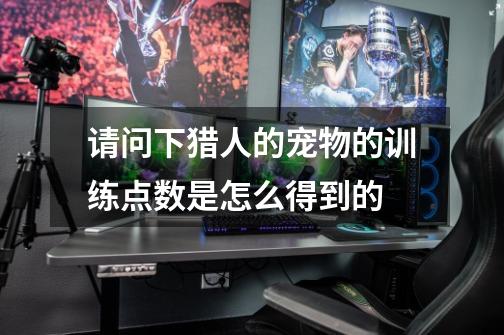 请问下猎人的宠物的训练点数是怎么得到的-第1张-游戏信息-龙启网