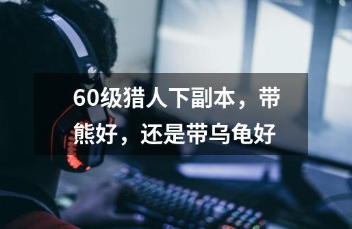 60级猎人下副本,带熊好,还是带乌龟好-第1张-游戏信息-龙启网