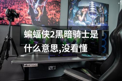 蝙蝠侠2黑暗骑士是什么意思,没看懂-第1张-游戏信息-龙启网