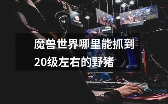 魔兽世界哪里能抓到20级左右的野猪-第1张-游戏信息-龙启网