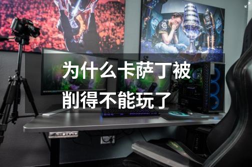 为什么卡萨丁被削得不能玩了-第1张-游戏信息-龙启网