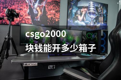 csgo2000块钱能开多少箱子-第1张-游戏信息-龙启网