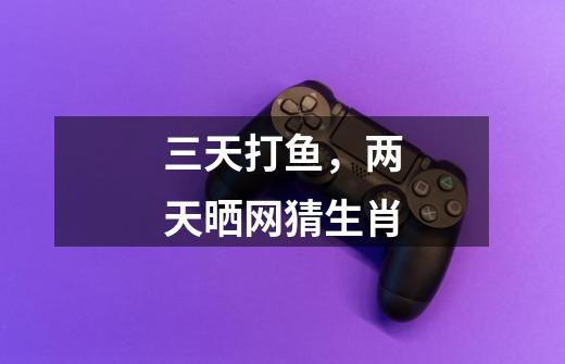 三天打鱼，两天晒网猜生肖-第1张-游戏信息-龙启网