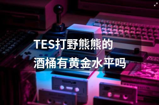 TES打野熊熊的酒桶有黄金水平吗-第1张-游戏信息-龙启网